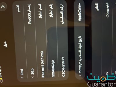 ipad mini (A17 pro)